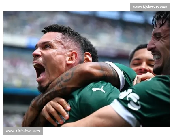 保利尼奥加时贴地斩绝杀！帕尔梅拉斯 1-0 博塔弗戈晋级世俱杯八强