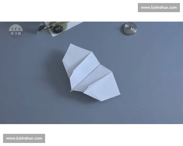 纸飞机:重拾童年的纯粹快乐